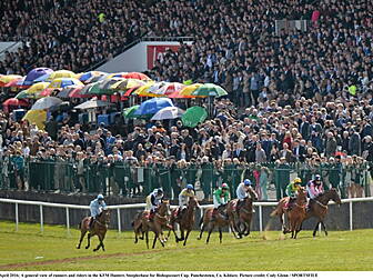 Punchestown and Fairyhouse 202...